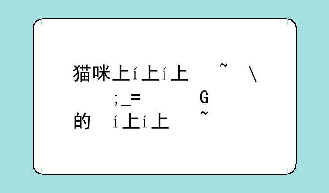猫咪下载——熟睡中的猫咪下载
